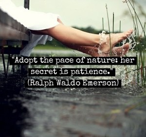 ralph-waldo-emerson-quotes-sayings-nature-patience